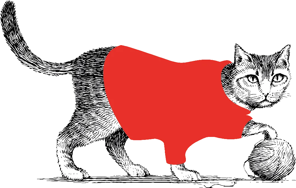 Cat Espagne opaque_resultat