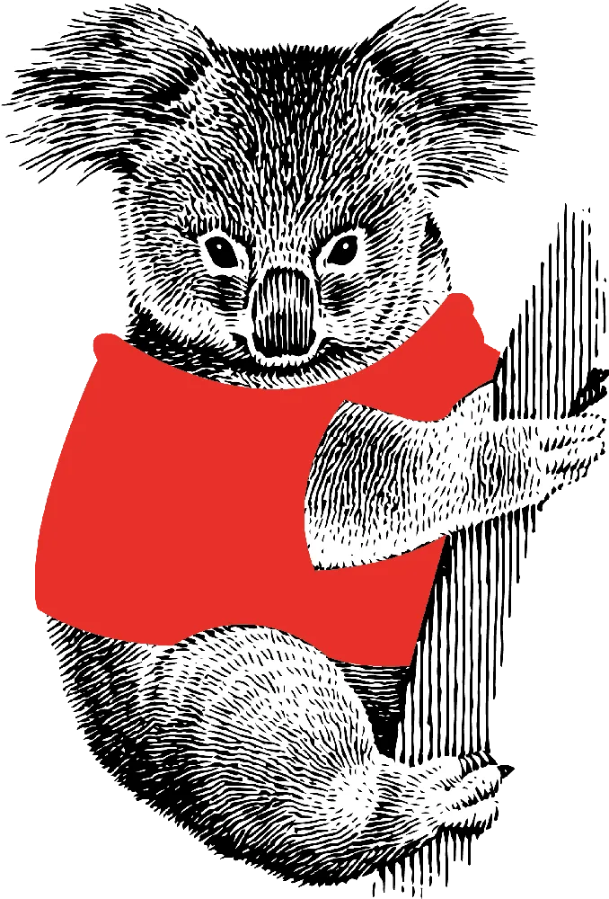 Koala opaque_resultat